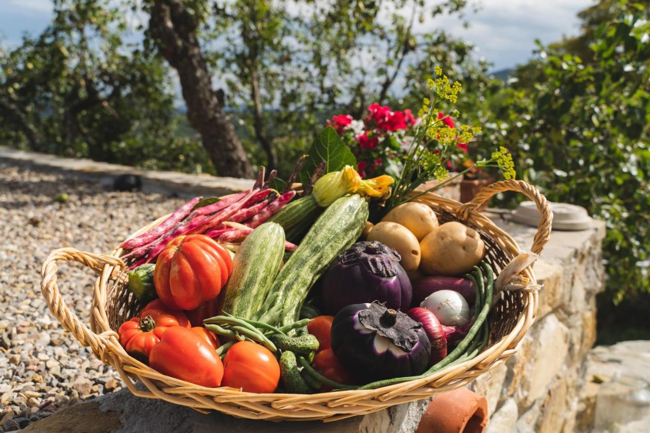 Agriturismo Le Fonti Pontassieve Eksteriør billede