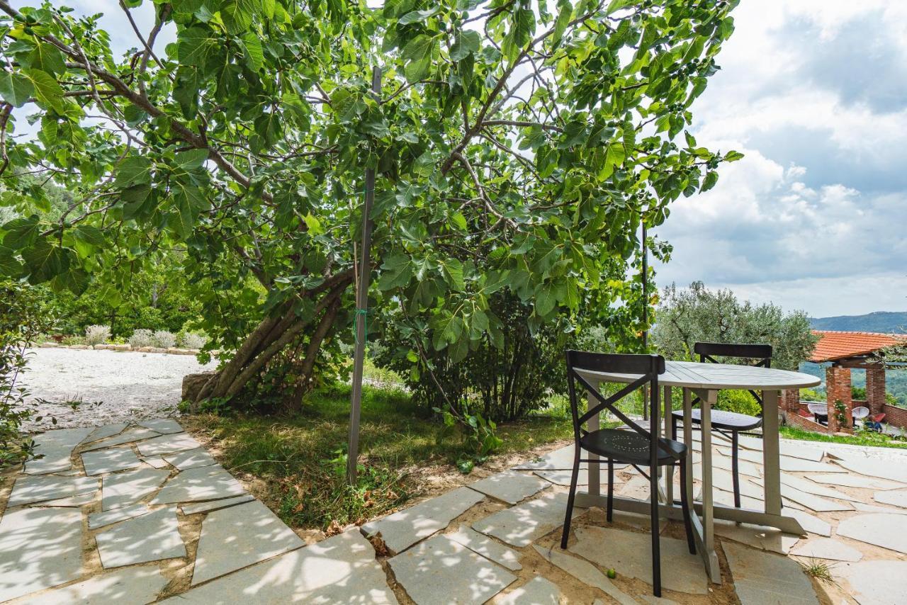 Agriturismo Le Fonti Pontassieve Eksteriør billede